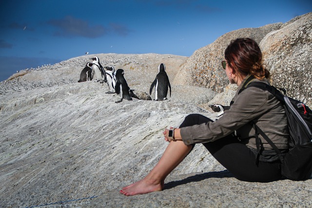 bosonohá dívka mezi tučňáky